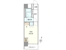 【東京都/練馬区豊玉中】カーサ豊玉 間取り図