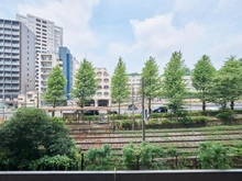 【東京都/豊島区高田】シティテラス目白 眺望