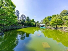 【東京都/渋谷区松濤】松濤ホームズ 渋谷区立鍋島松濤公園（現地より約270m）