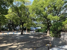 【神奈川県/川崎市中原区小杉御殿町】クレストフォルム武蔵小杉御殿町  等々力緑地（現地より約610m）