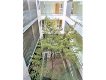 【東京都/渋谷区神宮前】神宮前五丁目ブランシェ 共用部