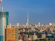 【東京都/豊島区南池袋】グランドミレーニア 眺望：リビングからの眺望　※ズームあり撮影年月：2025年10月