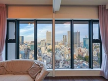 【東京都/豊島区南池袋】グランドミレーニア 眺望