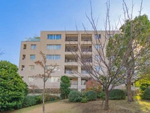 【東京都/渋谷区鶯谷町】センチュリーフォレスト A棟 外観