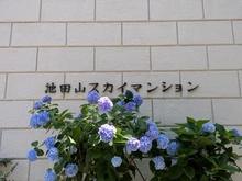 【東京都/品川区東五反田】池田山スカイマンション マンション表札