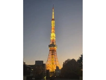 【東京都/港区虎ノ門】ウェリスタワー愛宕虎ノ門 眺望：ズーム有(バルコニーから)