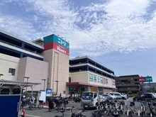 【神奈川県/川崎市幸区新小倉】クレストプライムレジデンス アベニュー参番街　サウスコート サミットストア新川崎店（現地より約340m）
