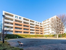 【神奈川県/相模原市南区上鶴間本町】プラウド相模大野 外観