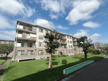 【神奈川県/相模原市南区相武台団地】相武台団地 1616号棟 外観