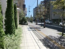 【神奈川県/相模原市南区相模大野】プラウド相模大野マークス 前面道路