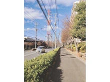 【東京都/町田市小山ヶ丘】ソルグランデメイツ多摩境 グリーンコート 前面道路