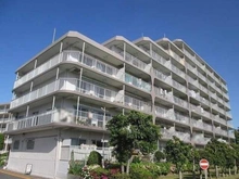 【神奈川県/鎌倉市台】鎌倉台ハイツ A棟 外観：総戸数115戸の大規模住宅