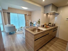 【神奈川県/横浜市神奈川区浦島町】ヴェレーナブリエ神奈川新町 LDK