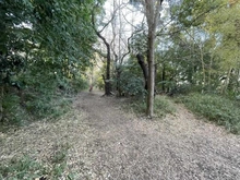 【神奈川県/横浜市神奈川区白楽】ライブタウン白楽 C棟 しらはたの森に至る道（現地より約190m）