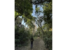 【神奈川県/横浜市神奈川区白楽】ライブタウン白楽 C棟 しらはたの森に至る道（現地より約200m）