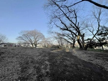 【神奈川県/横浜市神奈川区白楽】ライブタウン白楽 C棟 しらはたの森（現地より約250m）