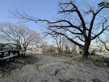 【神奈川県/横浜市神奈川区白楽】ライブタウン白楽 C棟 しらはたの森（現地より約250m）