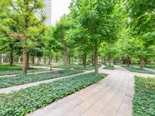 【神奈川県/横浜市西区みなとみらい】M.M.TOWERS  the West 敷地内：the Forest