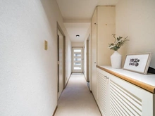 【神奈川県/横浜市南区山谷】ハイマート横浜 廊下