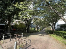 【神奈川県/横浜市西区浅間町】マークミュー横濱シティフロント 新田間川緑地（現地より約180m）