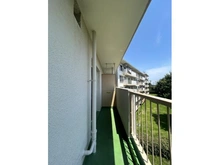 【神奈川県/横浜市神奈川区羽沢町】宮向団地 三街区弐号棟 バルコニー