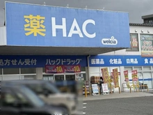 【神奈川県/藤沢市辻堂新町】ルピナス辻堂 ハックドラッグ辻堂羽鳥店（現地より約170m）