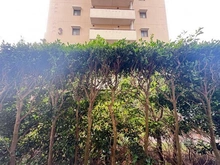 【神奈川県/横須賀市東逸見町】ウェルシティ横須賀ポートバレーヌ2番館 眺望