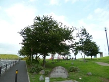 【神奈川県/川崎市川崎区中瀬】フォレシアム コンフォートタワー  大師河原1丁目公園（現地より約160m）