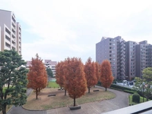 【神奈川県/横浜市都筑区加賀原】シンフォニックヒルズふれあいの街 24-6号棟 眺望