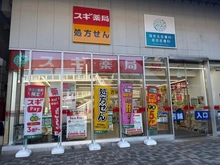 【神奈川県/海老名市中央】グリーンコート海老名 IV番館 スギドラッグ　ビナフロント海老名店（現地より約400m）