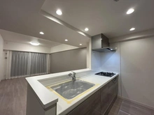 【神奈川県/横浜市保土ケ谷区星川】コスモ星川パークステージ キッチン