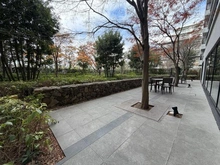 【神奈川県/横浜市保土ケ谷区仏向町】シティテラス横濱和田町 ブリーズコート 敷地内