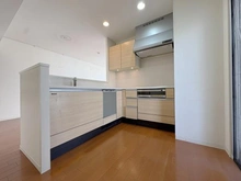 【神奈川県/平塚市紅谷町】セレストタワー湘南平塚 キッチン