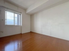 【神奈川県/平塚市紅谷町】セレストタワー湘南平塚 洋室