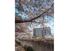 【神奈川県/藤沢市川名】プラウド湘南藤沢ガーデン 外観