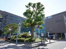 【神奈川県/横浜市磯子区磯子】ブリリアシティ横浜磯子 M棟 磯子区役所（現地より約450m）