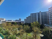 【神奈川県/茅ヶ崎市赤松町】シエリア湘南辻堂 眺望：バルコニーから