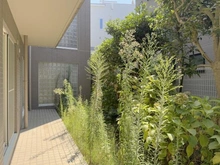 【神奈川県/茅ヶ崎市緑が浜】茅ヶ崎緑が浜シティハウス 専用庭