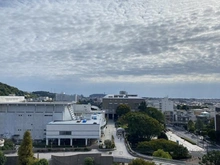 【神奈川県/藤沢市鵠沼東】グレーシア藤沢鵠沼 眺望