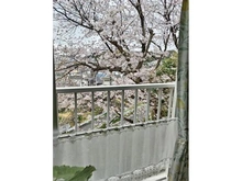 【神奈川県/藤沢市本藤沢】藤沢善行ニューライフ A棟 眺望：※売主様撮影