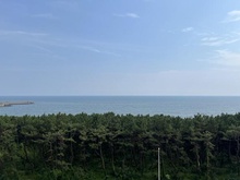 【神奈川県/平塚市高浜台】ダイアパレスグランデージ湘南平塚 眺望