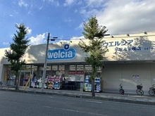 【神奈川県/平塚市八重咲町】チサンガーデンハウス八重咲 ウエルシア平塚八重咲（現地より約260m）