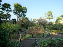 【神奈川県/茅ヶ崎市東海岸南】ヴェレーナグラン茅ヶ崎東海岸 氷室椿庭園（現地より約210m）：