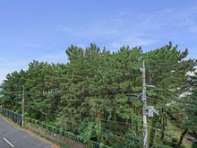 【神奈川県/平塚市龍城ケ丘】グレーシア湘南平塚海岸 眺望：バルコニーから南西側