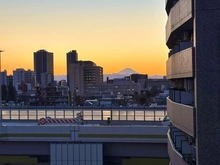 【東京都/板橋区仲宿】プラウド板橋区役所前 眺望：バルコニーから（ズーム有）