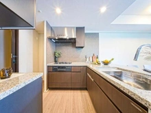 【東京都/新宿区下落合】バウス目白御留山 キッチン