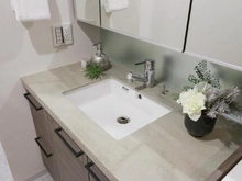 【東京都/新宿区西新宿】セントラルレジデンス新宿シティタワー 洗面室