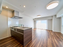 【東京都/港区新橋】コンシェリア新橋SIX LDK