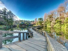 【東京都/三鷹市下連雀】プラウドシティ吉祥寺 E棟  井の頭恩賜公園（現地より約400m）