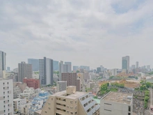 【東京都/港区白金】プレイス白金ブライトレジデンス 眺望：ズームあり